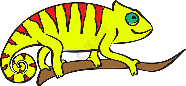 白色背景上上的变色龙异国动物园插图鬣蜥乐趣丛林尾巴情调爬虫绿色图片