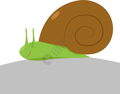 白色背景上的小蜗牛插画矢量房子微笑乐趣荒野绘画漫画昆虫螺旋花园插图背景图片