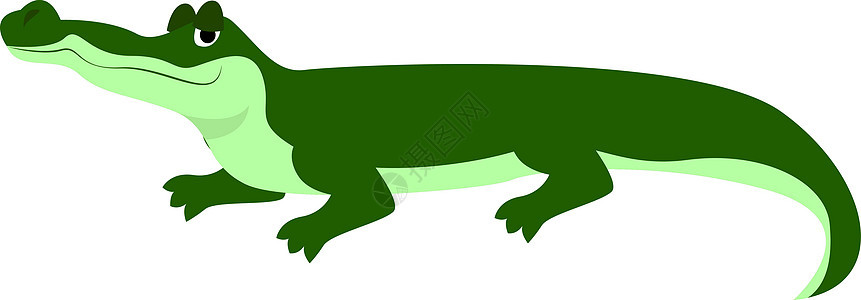 白色背景上的涂鸦艺术捕食者野生动物快乐鳄鱼乐趣动物爬虫动物群图片