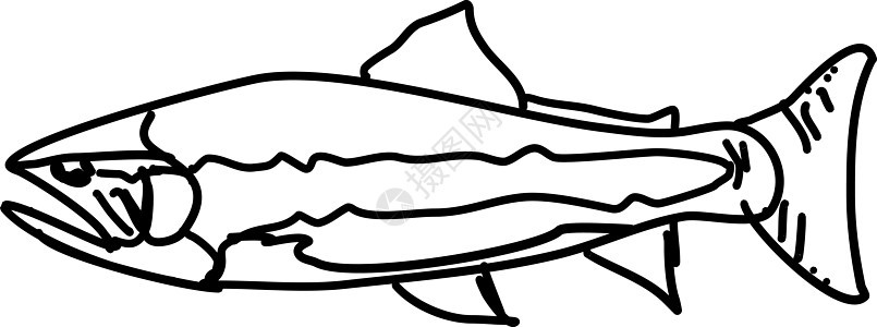 白色背景上的鱼黑色绘画动物背景图片