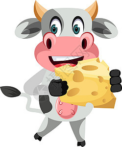奶牛带奶酪 插图 白底的矢量背景图片