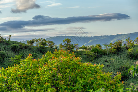马戈国家公园 埃蒂奥皮亚Omo山谷阴霾国家丛林天空高地爬坡马戈大面环境衬套图片