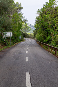 林间公路 梅多卡的自行车路线沥青自然途径草地绿色环境车道森林运输图片