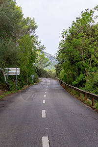 林间公路 梅多卡的自行车路线车道环境森林途径草地绿色自然沥青运输图片