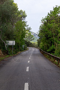 林间公路 梅多卡的自行车路线自然绿色途径车道森林草地沥青环境运输图片