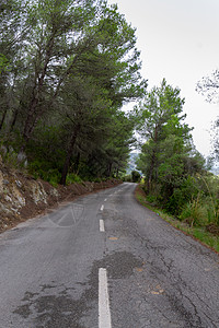 林间公路 梅多卡的自行车路线草地绿色环境途径沥青车道自然森林运输图片