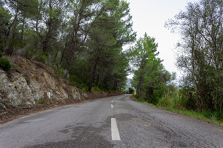 林间公路 梅多卡的自行车路线草地环境运输绿色途径车道沥青森林自然图片