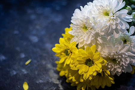 菊花国画菊花的布束植物群植物绿色白色黄色花束花瓣花园花朵粉色背景