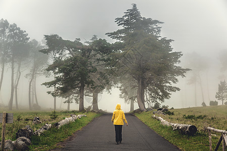 漫步在迷雾的路上远足农村旅行森林冒险树木女性远足者假期女孩图片