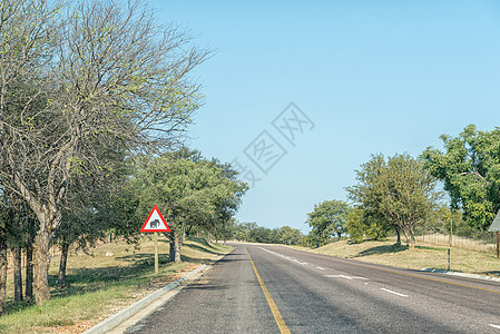 法拉博瓦附近大象警告标志的公路景观图片