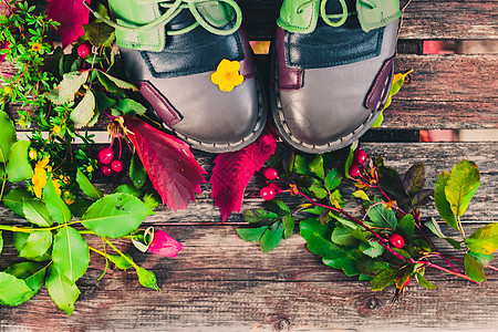 秋水中的植物 玫瑰臀 葡萄 叶子婴儿商业衣服配饰植物群静物鞋类男人蕾丝橡木图片