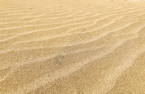 特写沙纸背景纹理沙漠支撑宏观黄色金子假期颗粒状场景水平波纹图片
