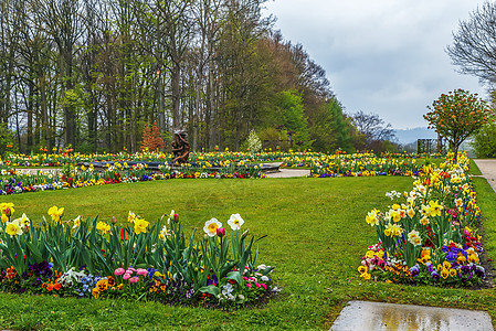 德国拜鲁特花园花朵图片