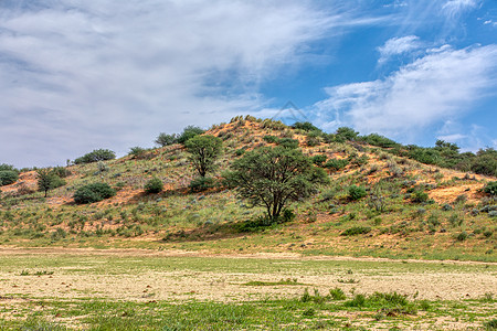 沙漠 南非荒野图片