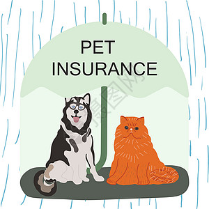 绿伞下的哈士奇狗和姜猫 附注宠物保险图片