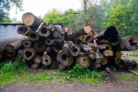 在一个公园里 木林自然砍伐的原木生态工厂乡村柴堆农村树木林业白云裂缝材料图片