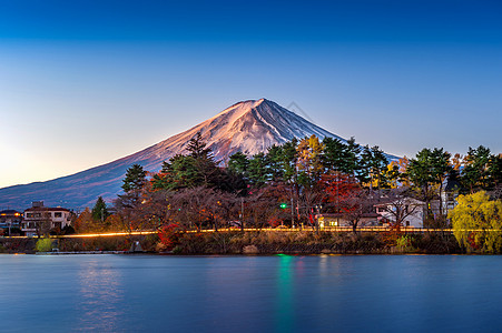 日本川口子湖的秋季和藤山地标风景反射季节旅游樱花旅行叶子火山树叶图片