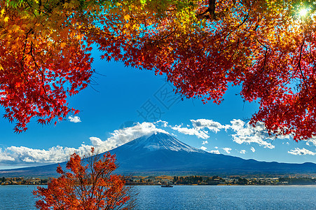 日本川口子湖的秋季和藤山风景樱花天空反射叶子火山树叶地标季节场景图片