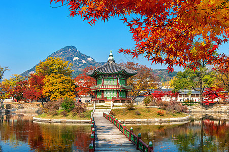 秋天在韩国首尔的庆博京贡宫图片