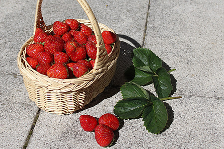 草莓地里的草莓园艺篮子浆果甜点收成水果篮花园水果维生素图片