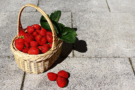 草莓地里的草莓水果篮收成浆果花园园艺篮子甜点水果维生素图片