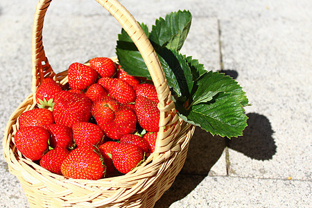 草莓地里的草莓维生素甜点水果园艺收成花园篮子水果篮浆果图片