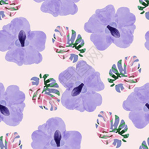 美丽的紫色兰花和热带龟背竹叶 ba图片