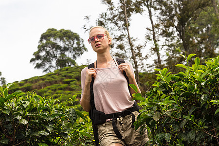 活跃的caucasian金发美女在斯里兰卡Ella附近追踪茶叶花岗岩时 将新鲜空气和纯净大自然紧紧连在一起远足冒险背包女孩旅游绿图片