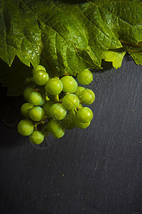 树枝上的绿葡萄藤蔓绿色浆果桌子农业黑板酒厂水果食物木头图片