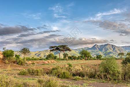 埃塞俄比亚Arba Minch附近的Ethiopian景观大草原薄雾爬坡环境天空高地国家农业缠绕大面图片