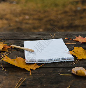 深色背景中的白色空白笔记本和笔 周围有围巾 格子花呢和杯子 秋天的黄叶和松果 从上面看 平躺 模糊 复制空间桌面橙子铅笔绘画学校图片
