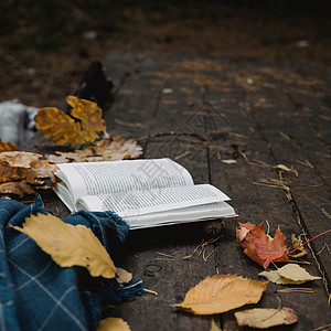 在秋天公园的一张旧木桌上 放着一本打开的书 一件蓝色格子花呢 一个带灯的花环 一杯黄叶和 sos 锥体 顶视图 模糊 秋天温暖黑图片