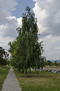 Bregalnica河谷的夏季风景 在Maleshevo和Osogovo山之间的Delchevo镇中放轻松 树木横行天空长椅村庄图片