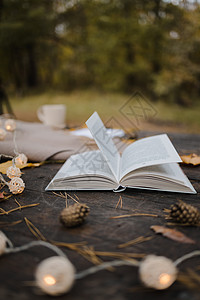 在秋季公园的一张旧木桌上 放着一本打开的书 一张格子花呢 一个带灯的花环 一杯黄叶和 sos 锥体 顶视图 模糊 秋天温暖黑暗的图片