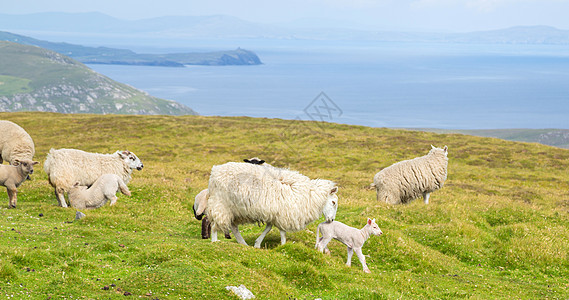 爱尔兰 比阿拉半岛村庄半岛天空环境建筑物房屋爬坡海洋海岸农场图片