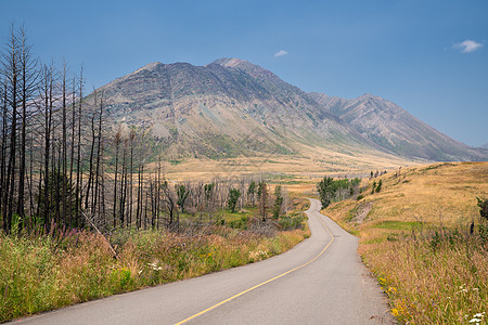 加拿大艾伯塔Waterton湖国家公园植被生物城市生境风景旅行环境全景目的地远足图片