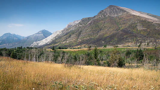 加拿大艾伯塔Waterton湖国家公园远足环境全景风景植被生物生境山脉旅游假期图片