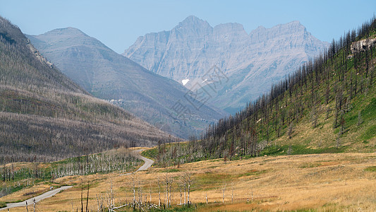 加拿大艾伯塔Waterton湖国家公园远足岩石风景旅游植被城市假期生境山脉全景图片