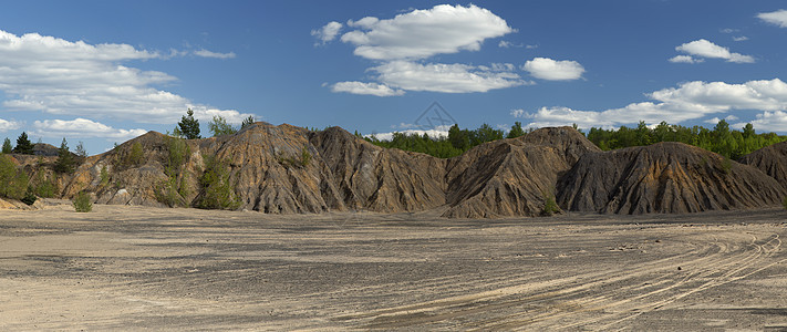 荒废采石场沙丘上的春树地形地质学绿色桦木峡谷树木环境森林气候季节图片