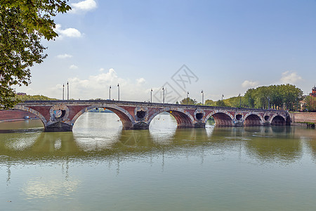 法国图卢兹 Pont Neuf图片