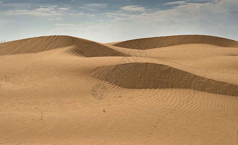 高密度黄沙的美丽结构 沙漠的沙丘旅行晴天天空黄色旅游孤独海浪波纹爬坡太阳图片