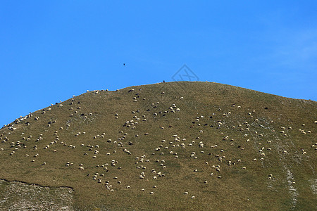 Abruzzo Lazio和Molise国家公园     高海拔图片