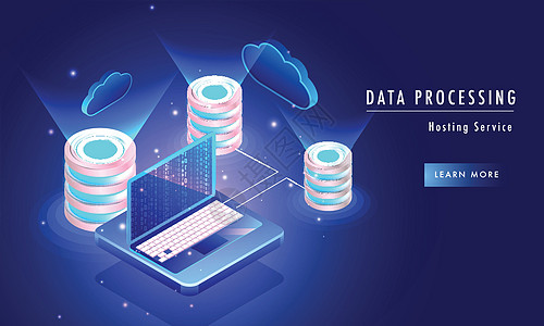 基于数据处理托管服务概念的着陆页 desi图片