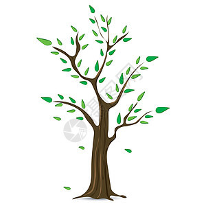 绿叶树的插图花园季节森林植物叶子木头绿色植物植物学创造力生态背景图片
