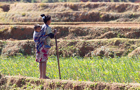 Fiadanana 马达加斯加 2019年6月26日有童工的妇女男人工作女士孩子场地农业单身图片