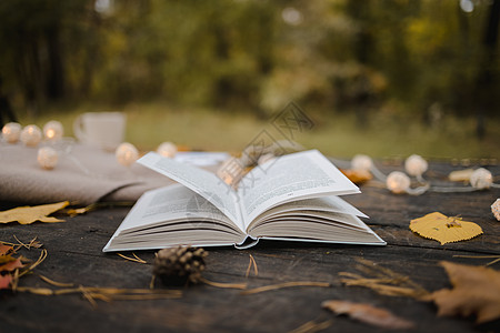 在秋季公园的一张旧木桌上 放着一本打开的书 一张格子花呢 一个带灯的花环 一杯黄叶和 sos 锥体 顶视图 模糊 秋天温暖黑暗的图片