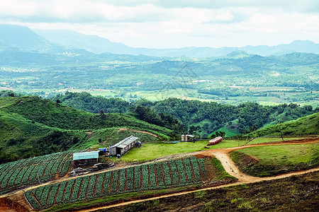 泰国北部Khao Kho区Phetchabun省山景图气候旅行农场山脉森林农村文化天空假期爬坡背景