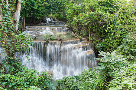 瀑布公园荒野公园天堂丛林热带环境溪流叶子异国情调图片