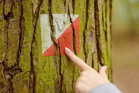 手指显示树上树林中白色和红色足迹的标记 (笑声)图片