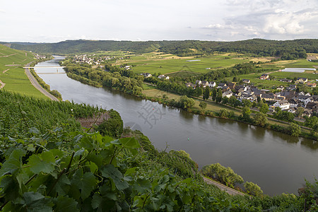德国Moselle山谷全景 葡萄园和河流图片